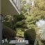  Annonces MAISON RHONE : Apartment | CALUIRE-ET-CUIRE (69300) | 92 m2 | 516 850 € 